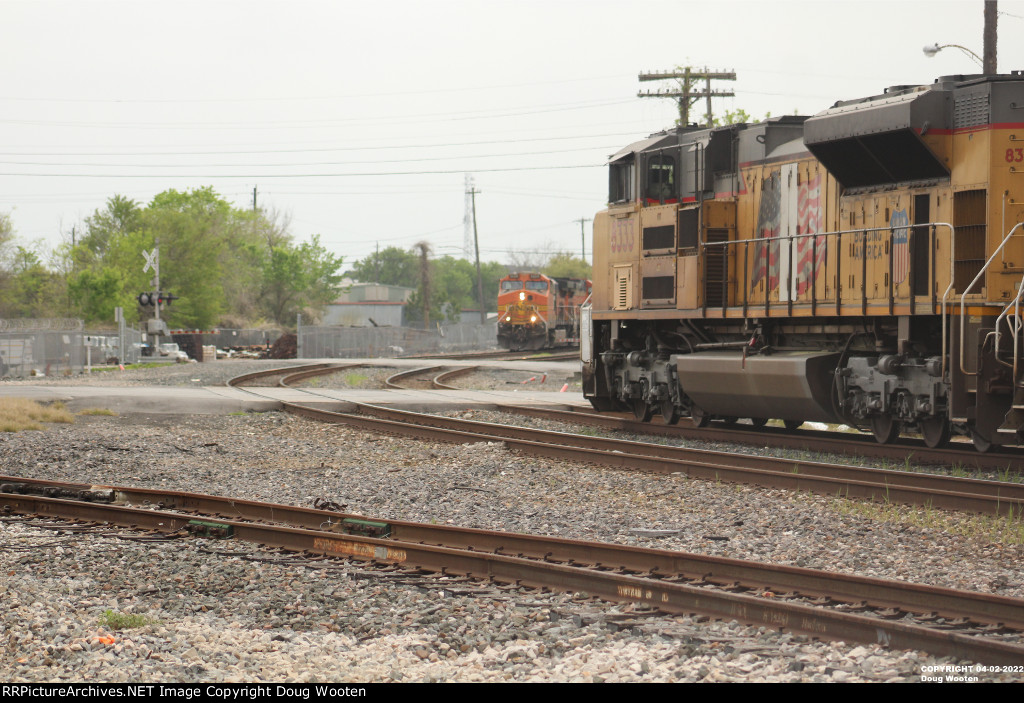 UP and BNSF Trains